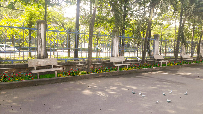 Thiết kế thi công cảnh quan cty Phú Tài