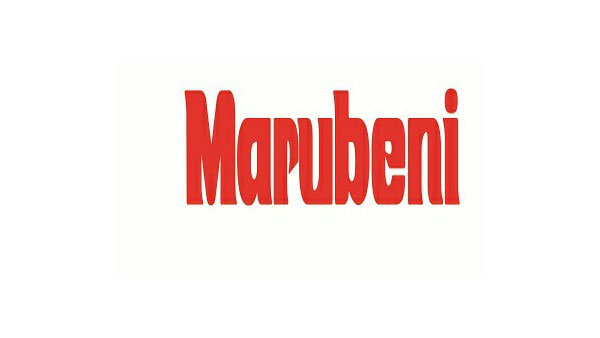 Cải tạo cảnh quan Công ty Marubeni