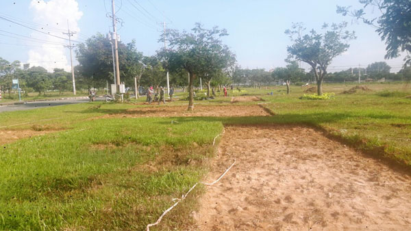 Thi công cảnh quan đường khu dân cư