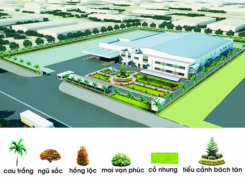 Thiết kế thi công nhà máy Bình Dương